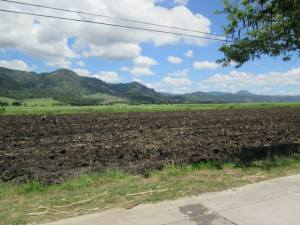 10377013_743874155671607_1733719240207019910_n