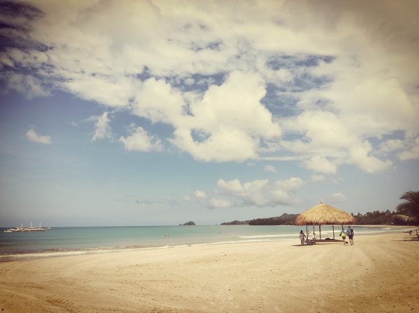 44598563_2008197739239236_7140739616180535296_o