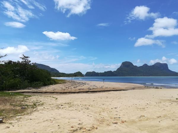 44692592_2007072046018472_2478838944662290432_n